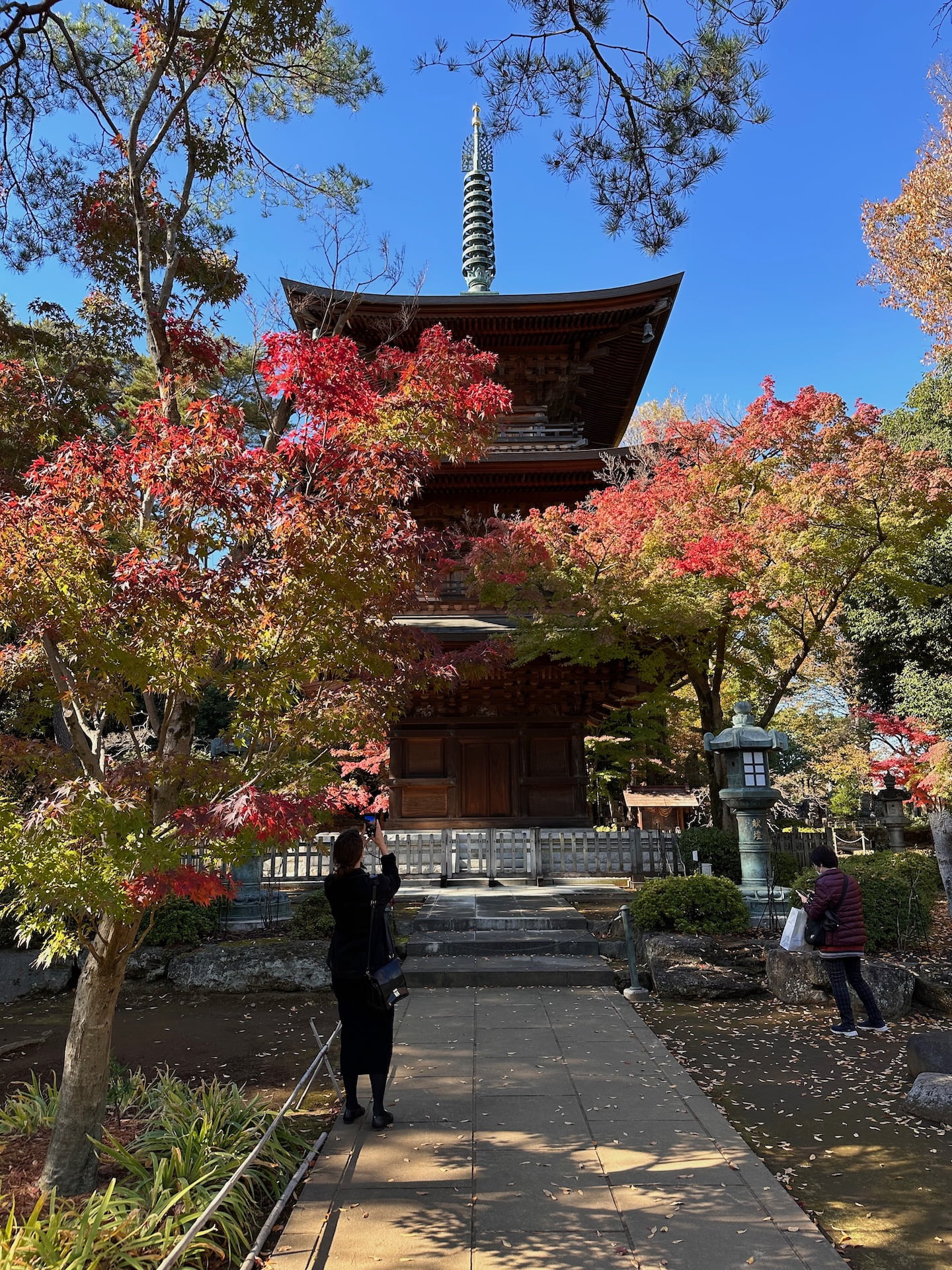 Gotokuji templet i Tokyo