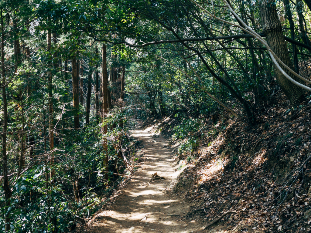 Naturvandring ved Mount Takao, Japan
